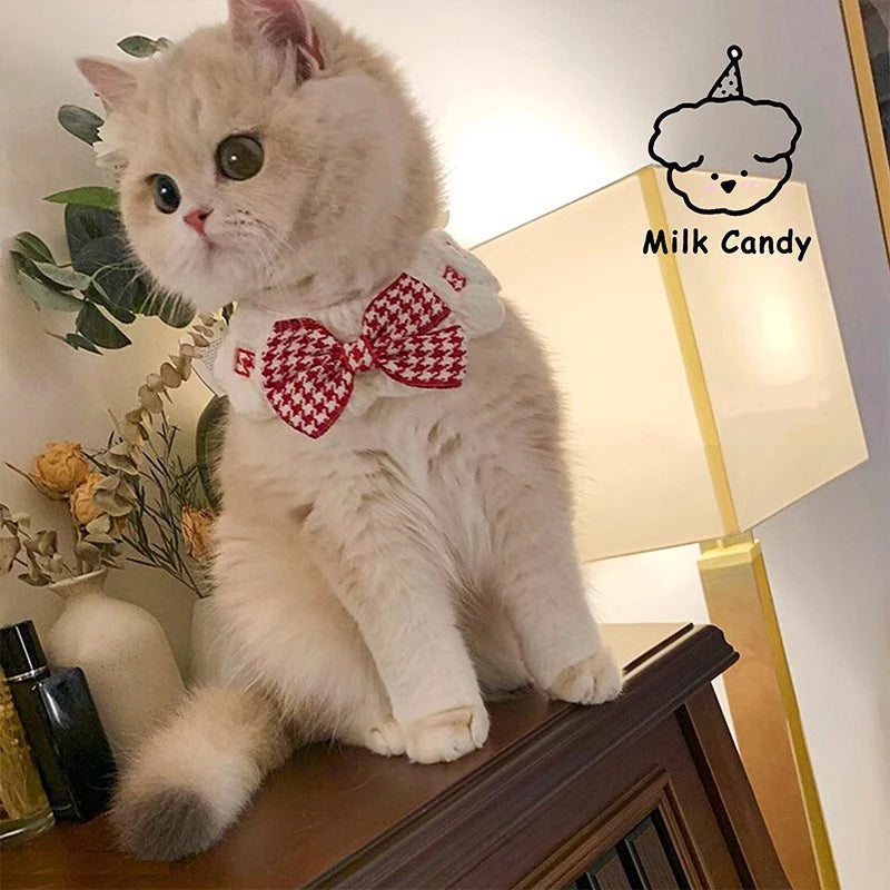 Pearl pet Collar