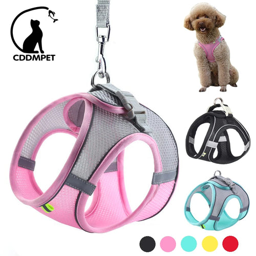 Poppy Harness