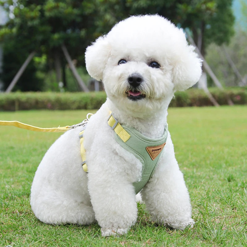 Puppy Harness