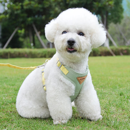 Puppy Harness