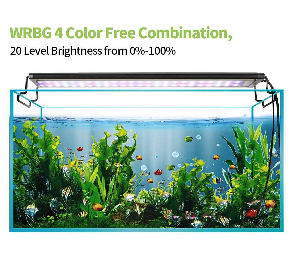 Programmable Fish Tank Light