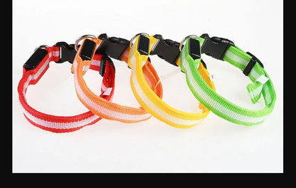 Dog Collar Nylon LED