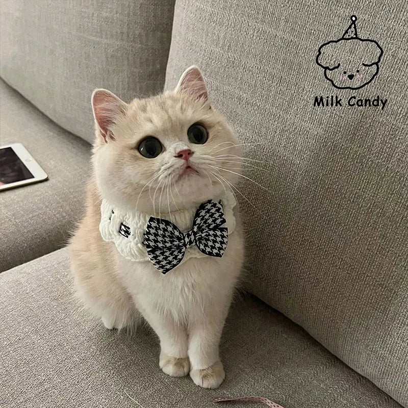 Pearl pet Collar