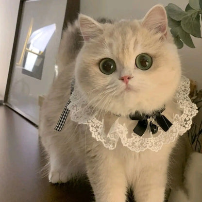 Pearl pet Collar